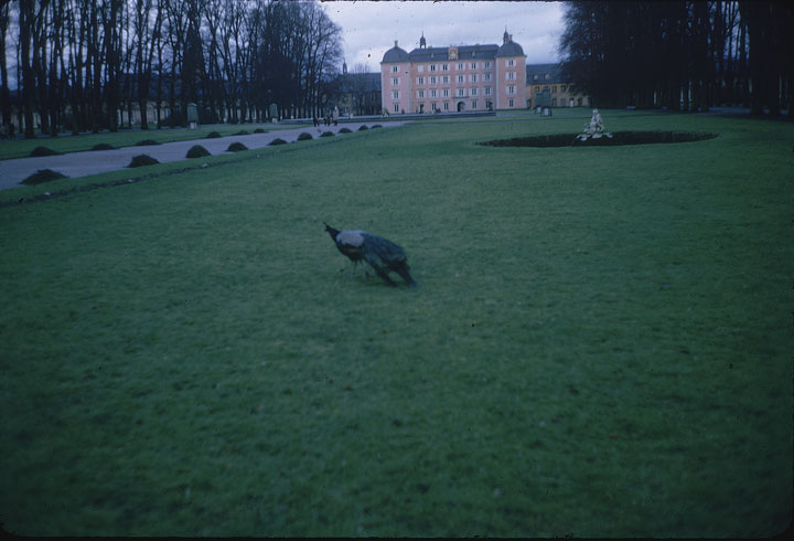 SCAN_14_1