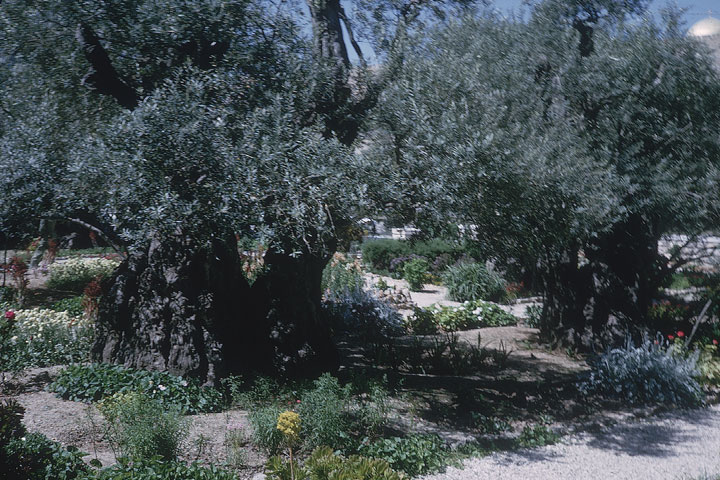 SCAN_10_1