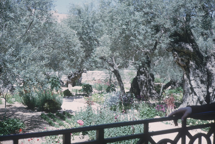 SCAN_12_1