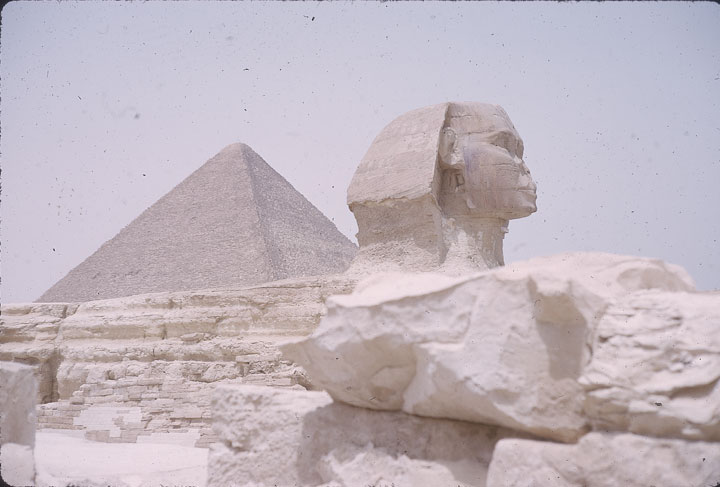 SCAN_49_1