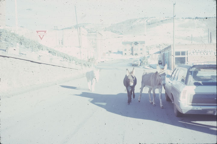 SCAN_14_1