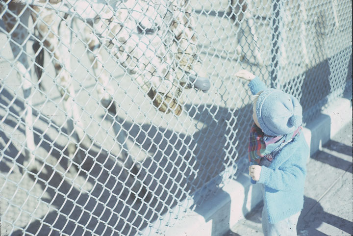 SCAN_17_1