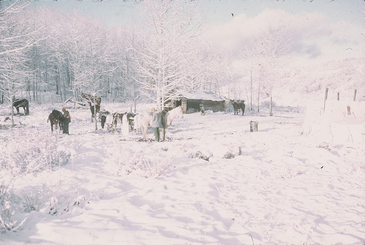 SCAN_29_1