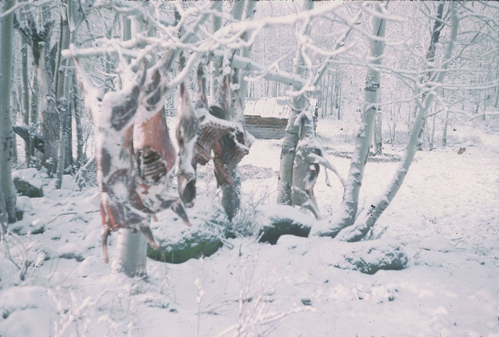 SCAN_31_1