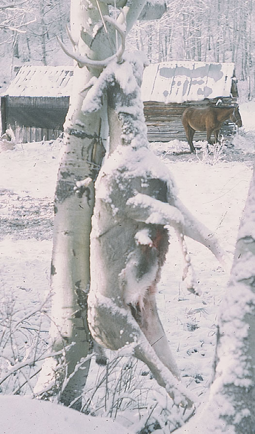 SCAN_32_2
