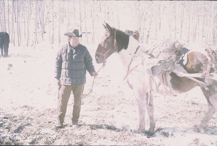 SCAN_36_1