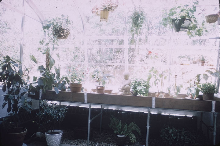 SCAN_18_1