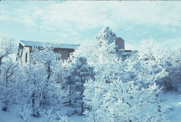 SCAN_12_1
