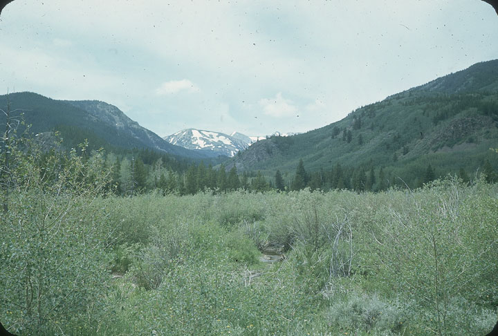SCAN_45_1