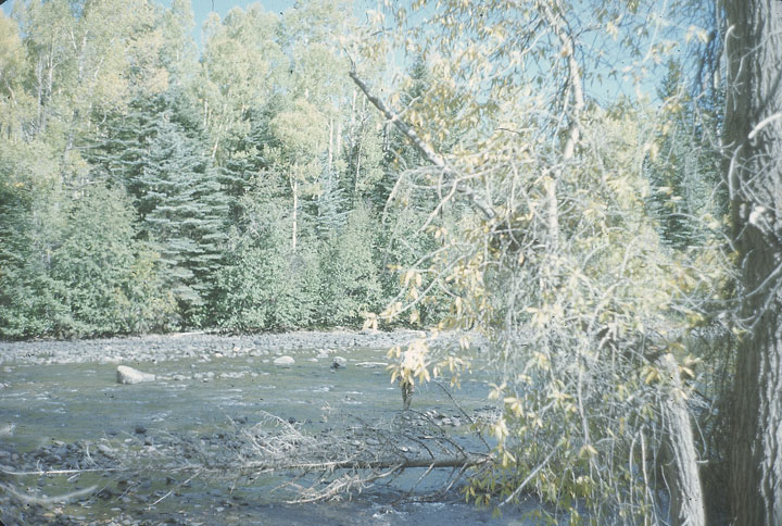 SCAN_36_1