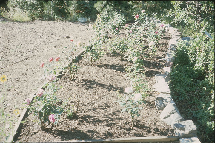 SCAN_28_1