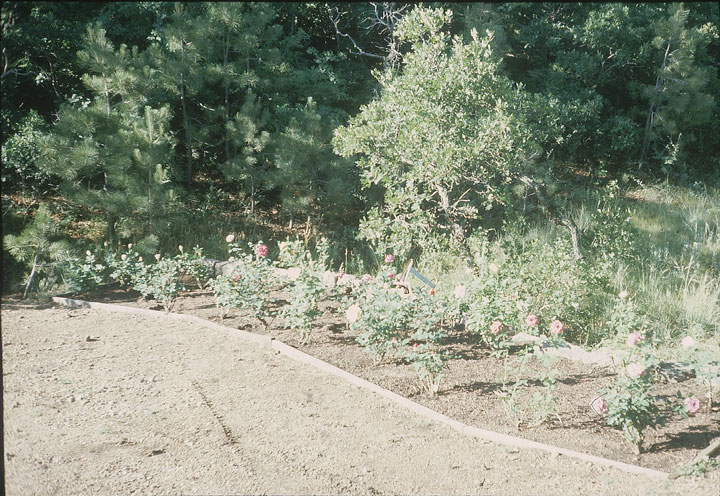 SCAN_29_1