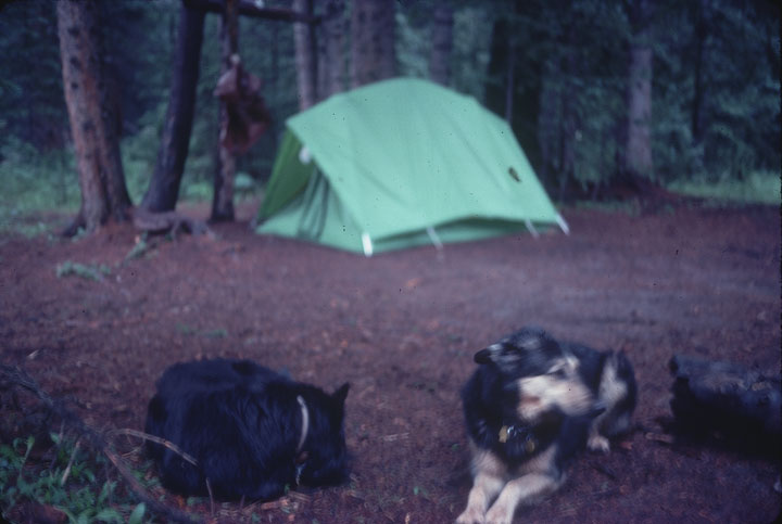 SCAN_12_1