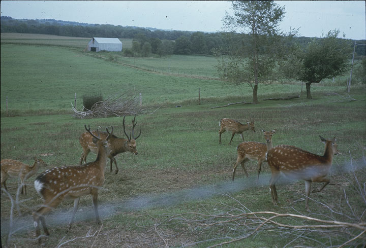 SCAN_11_1