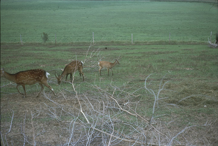 SCAN_12_1