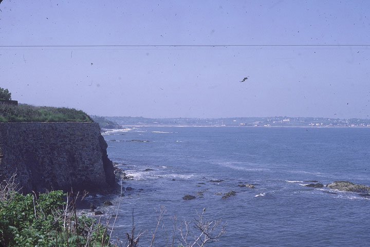SCAN_23_1
