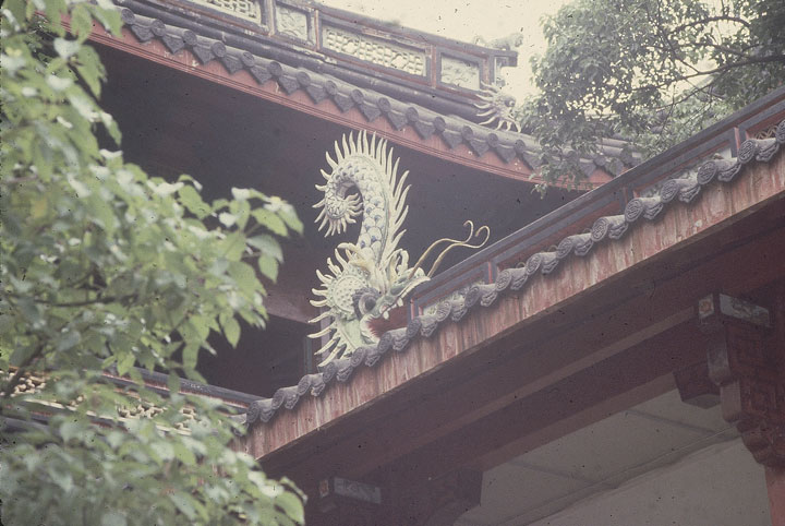 SCAN_204_1