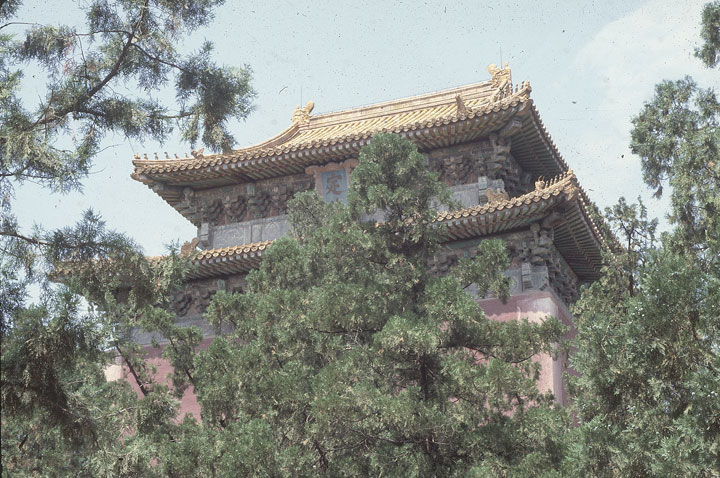 SCAN_296_1