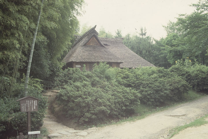 SCAN_15_1