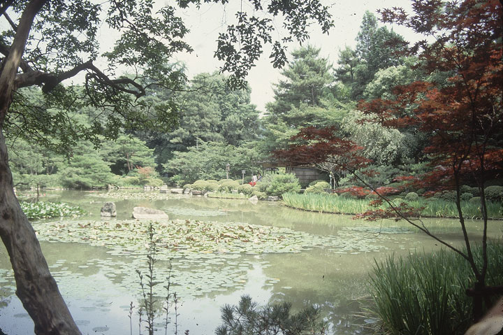 SCAN_40_1