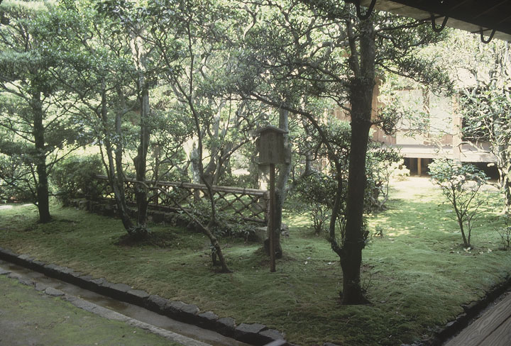 SCAN_59_1
