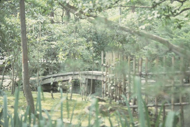 SCAN_65_1