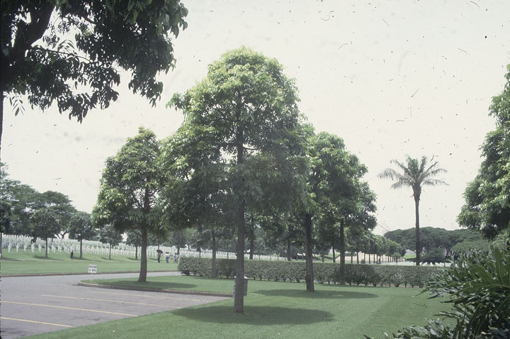 SCAN_21_1