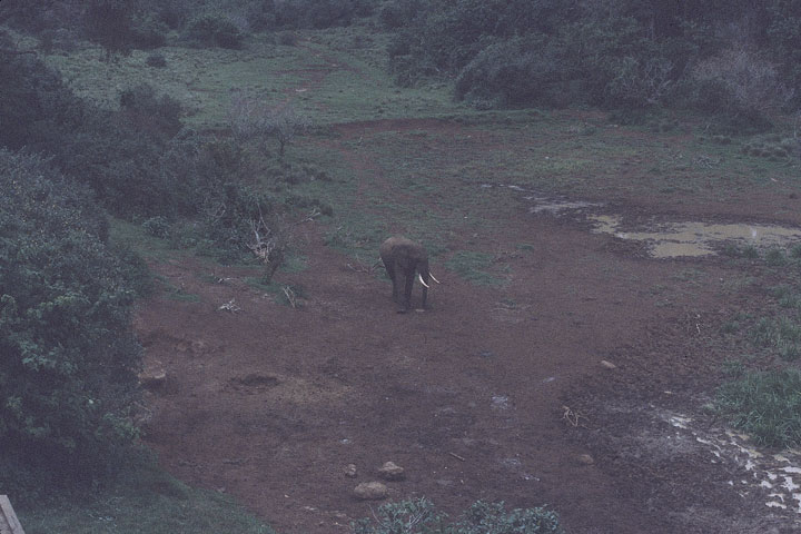 SCAN_082_1