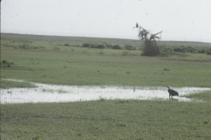 SCAN_172_1