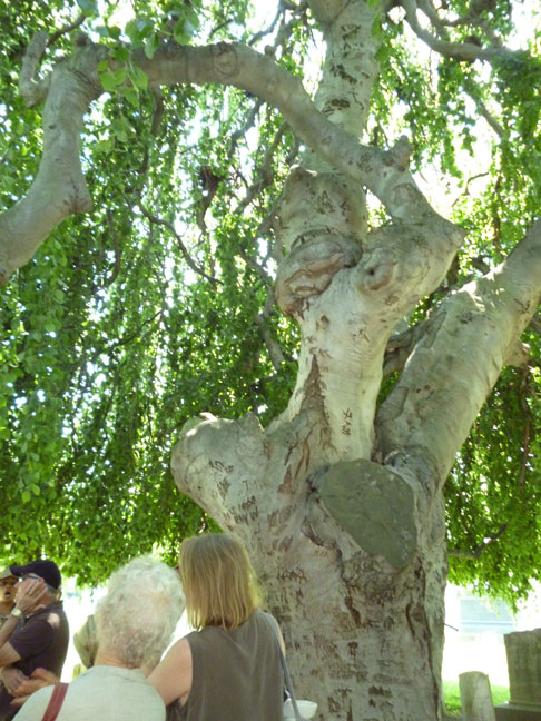 P1000130
