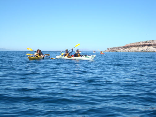 DSC00790