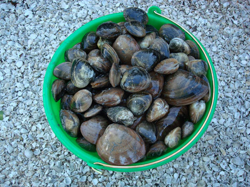 DSC00857