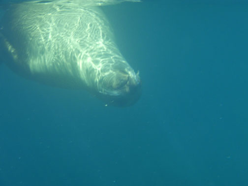 P3010046
