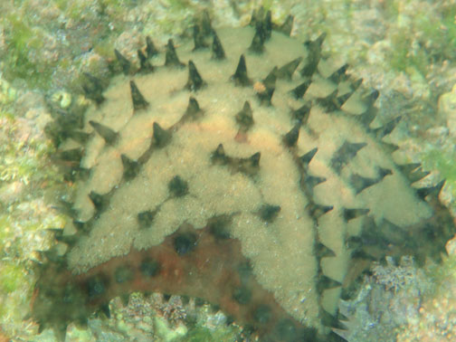 P3010059