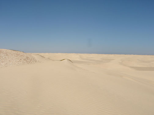 P3060267