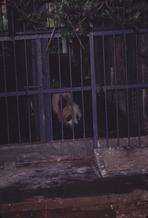 SCAN_34_1