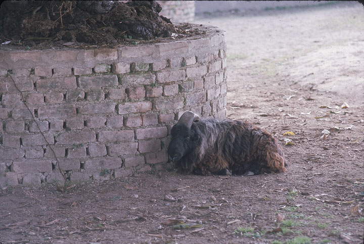 SCAN_28_1