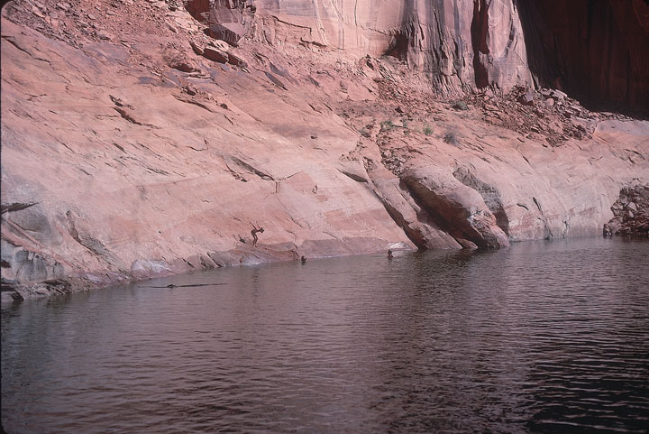 SCAN_44_1