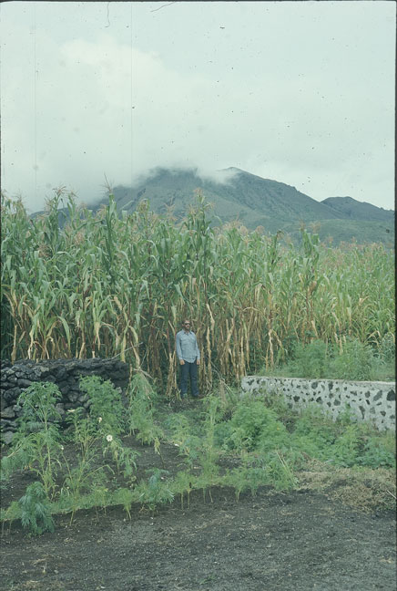 SCAN_44_1