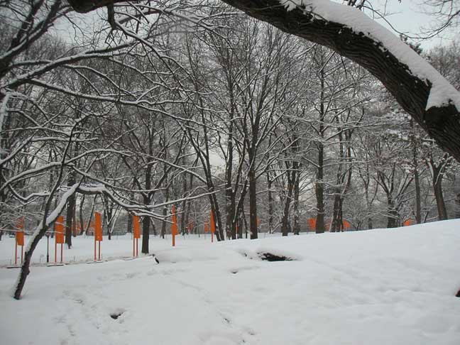 nyc-PICT0067